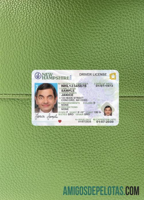 Carteira de motorista dos EUA em New Hampshire 2025 presente fotolook frente baixar para verificação